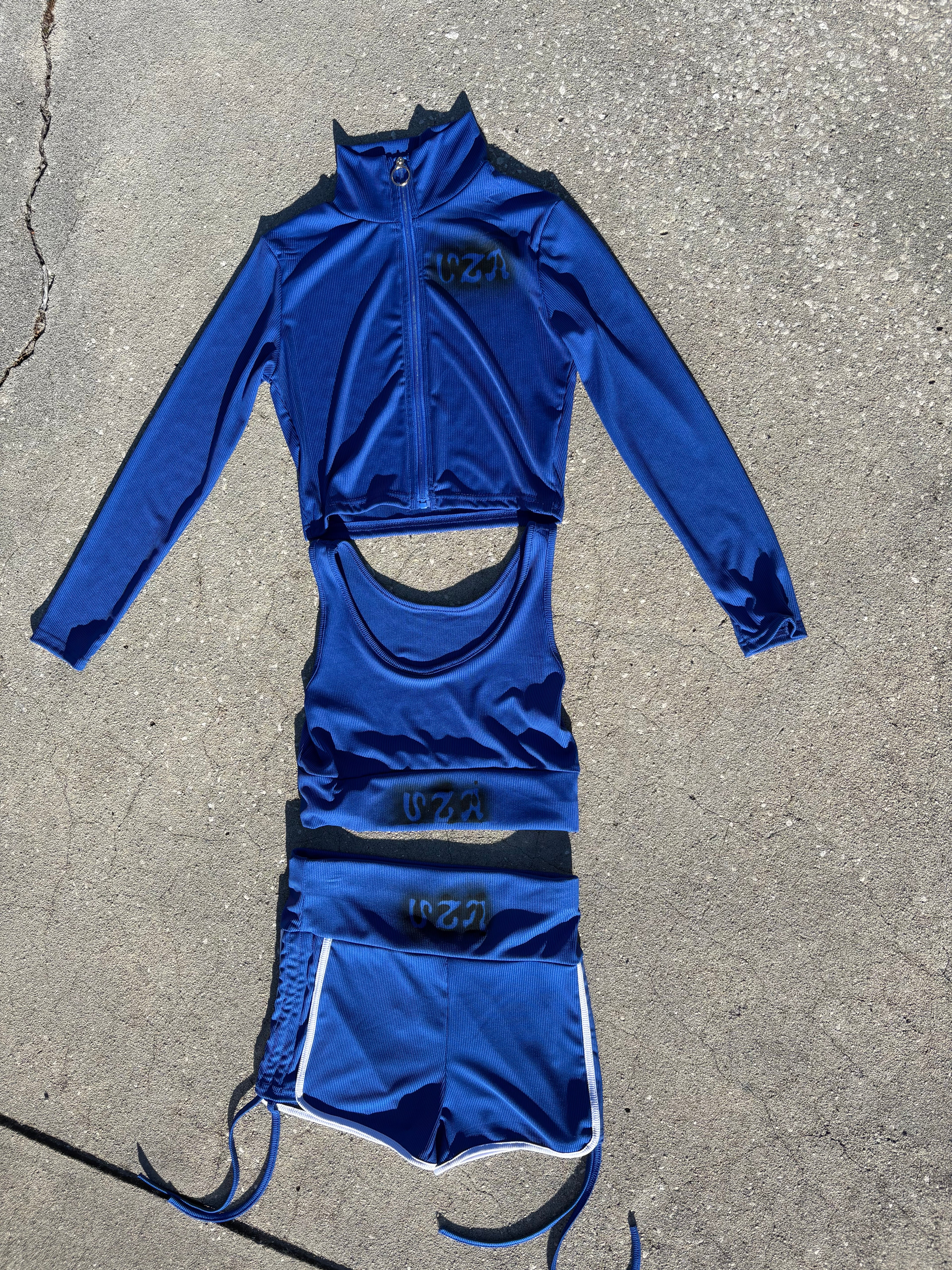Blue Berry Set
